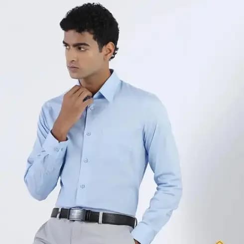 Rajwada Shirt New